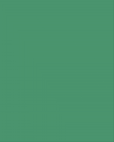 Bosworth Garden CO - Brand Creation (3)