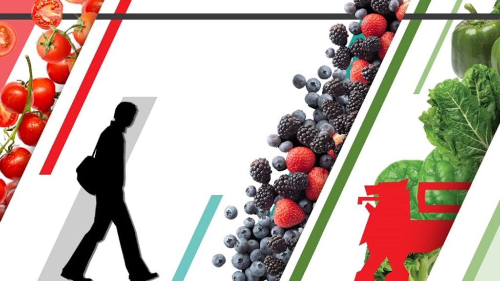 Mega-Image-Winow-Design-Branding-(4)-min