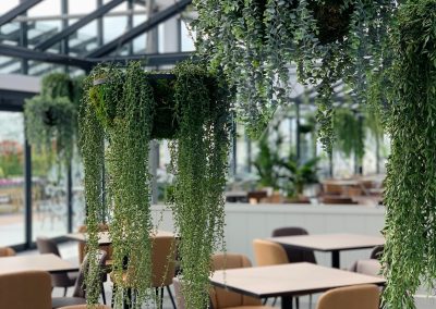 Beckworth Emporium – The Restaurant in the Glasshouse